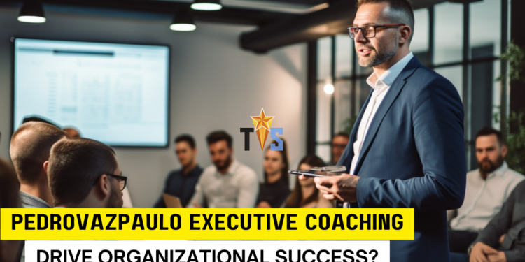 pedrovazpaulo executive coaching